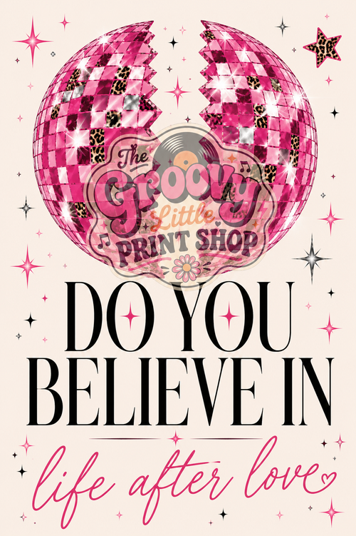 Do You Believe In Life After Love? I Cher I Iconic Lyrics I Wall Art
